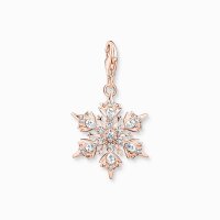 Thomas Sabo - 1903-416-14 - Charm - Damen - 925er Silber...